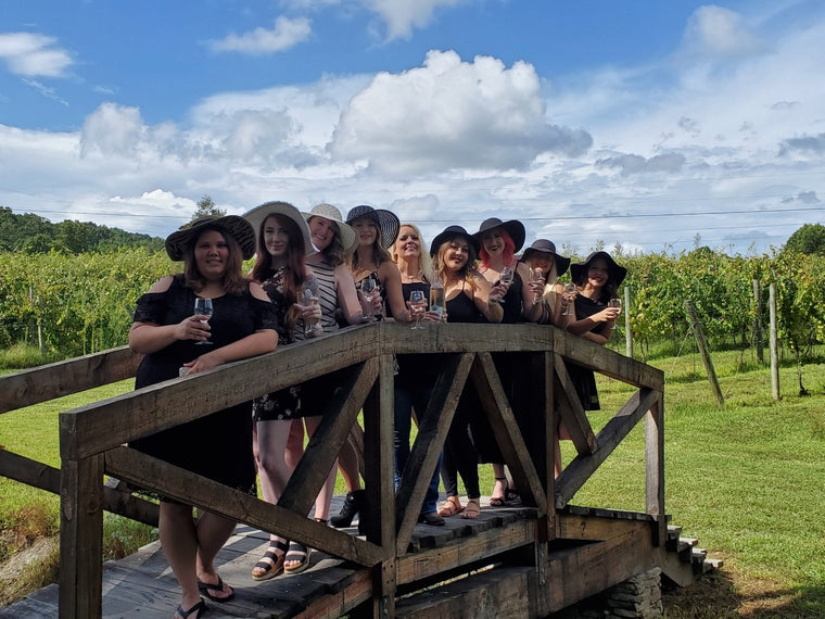 Wine Tour at Bear Claw Vineyards and Winery in Blue Ridge, Georgia.  Girls just want to have fun and learn trip!